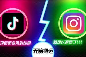 （13064期）抖音无脑搬运，如果这项目都拿不到结果，你可以退网了