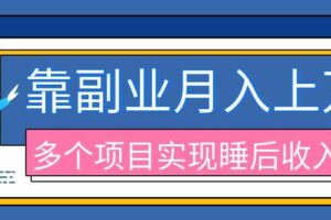 （20301期）2026年多个真实副业项目，带你搭被动收入管道（淘宝无人直播、海外TK拉新、最新最全代运营、公众号陪跑和去水印小…